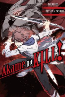 دانلود سریال Akame ga Kill آکامه گا کیل