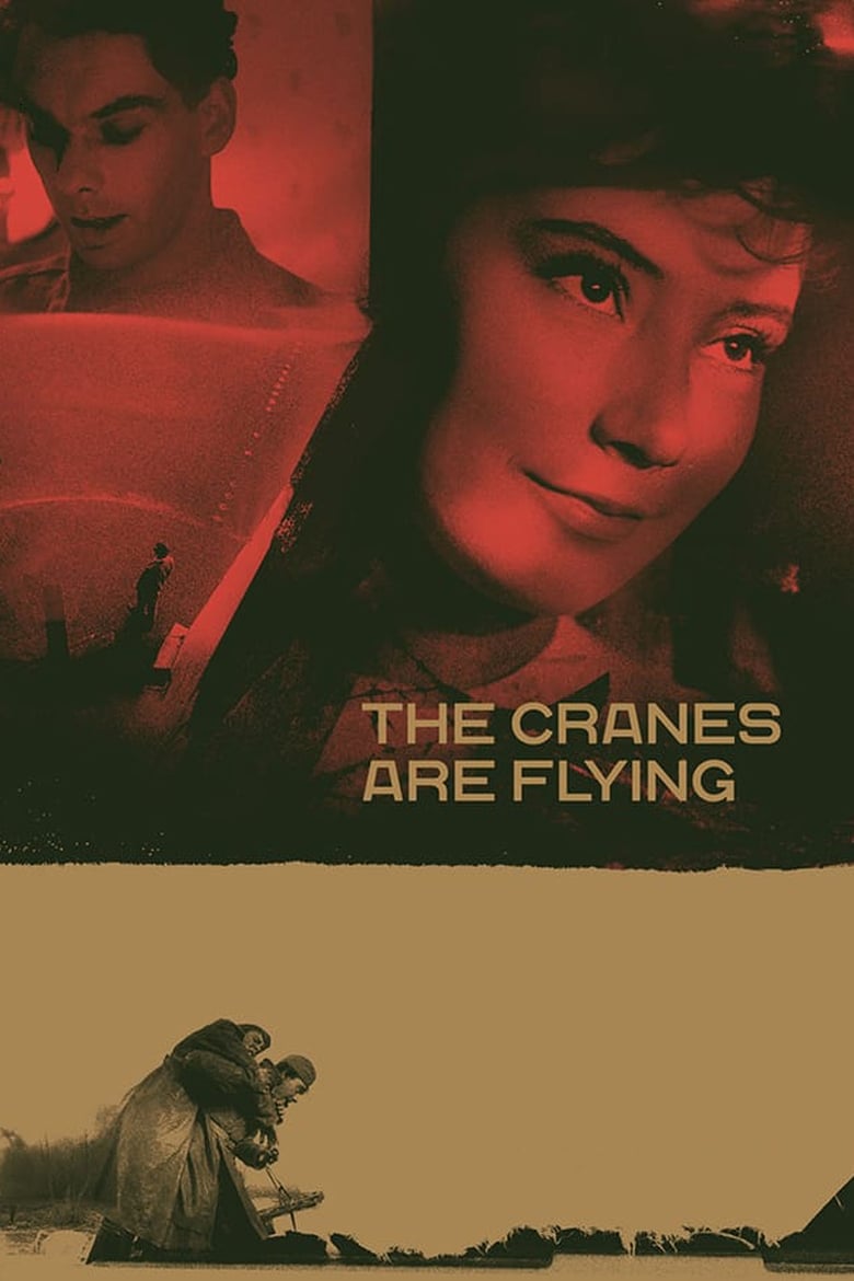 دانلود فیلم The Cranes Are Flying 1957 درناها پرواز می‌کنند